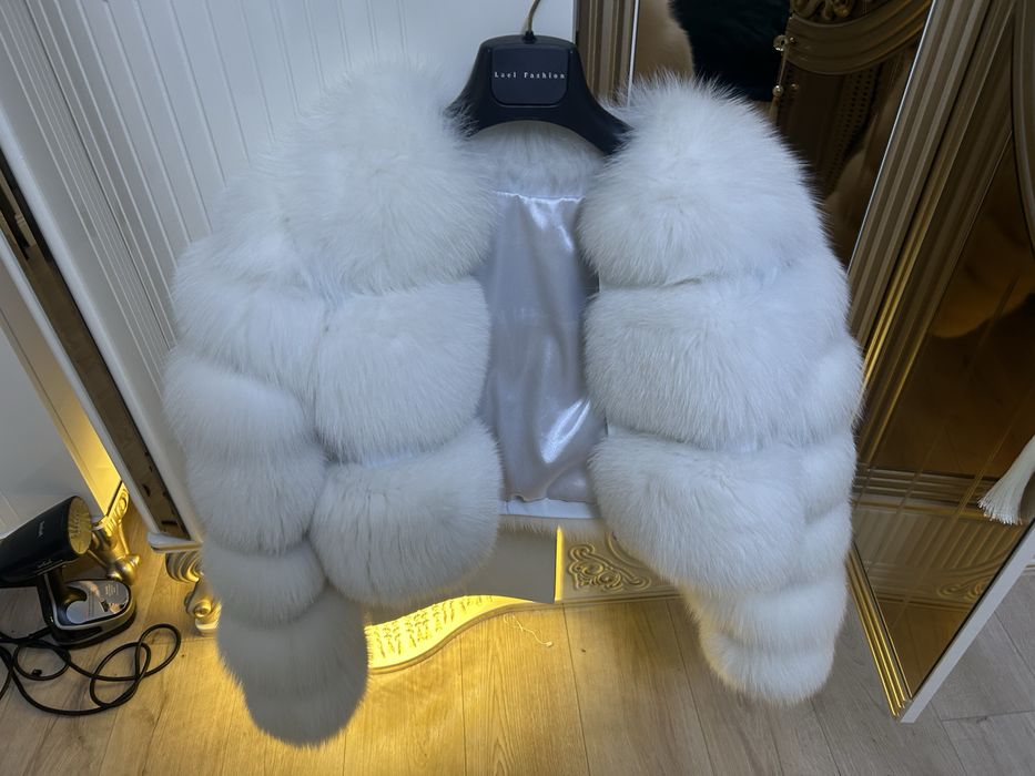 Vand urgent blaba vulpe polara