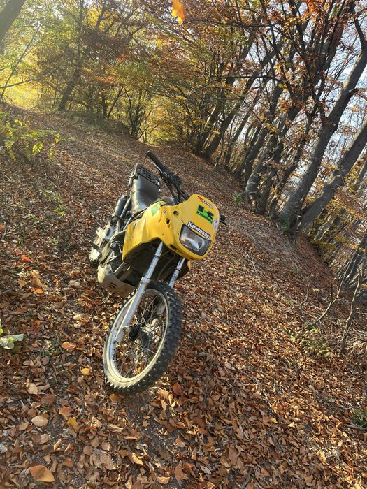 Kawasaki kle de padure-câmp