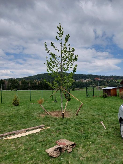 Парцел на Цигов чарк 1250 Квадратни метра