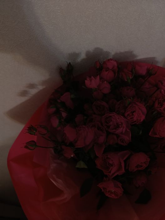 Продам Цветы недорого