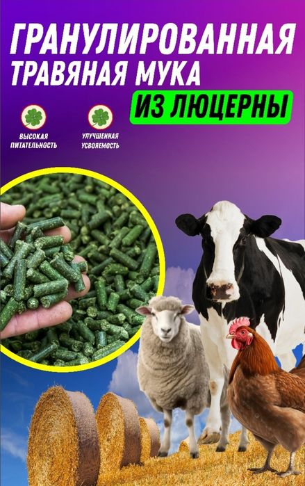 Гранулы из люцерны. Супер корм.