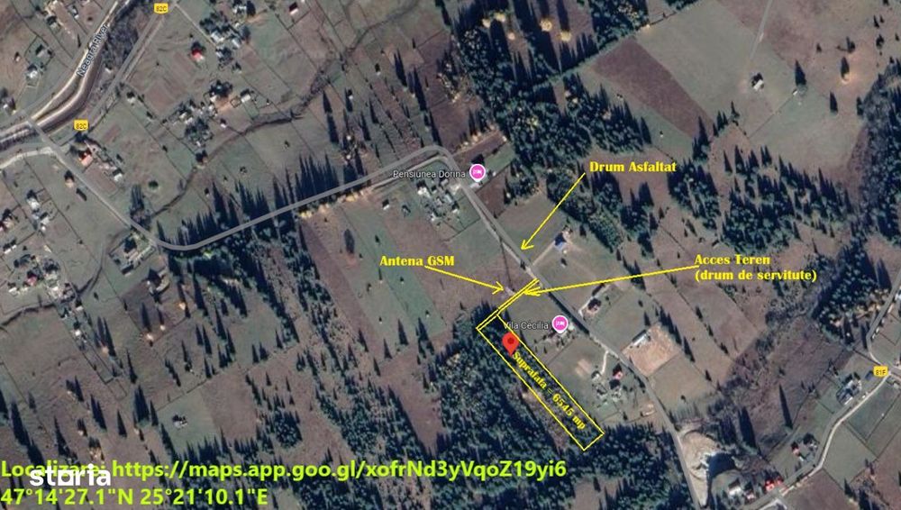 Neagra Sarului - Saru Dornei, Teren S = 6450 mp; 13 km de Vatra Dornei