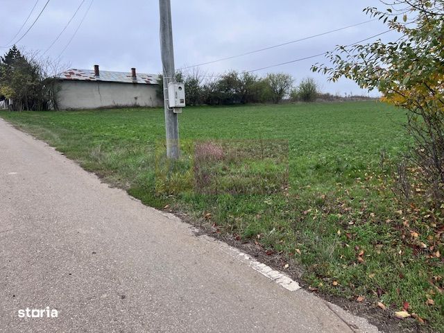 Teren Comana- strada Funieru.