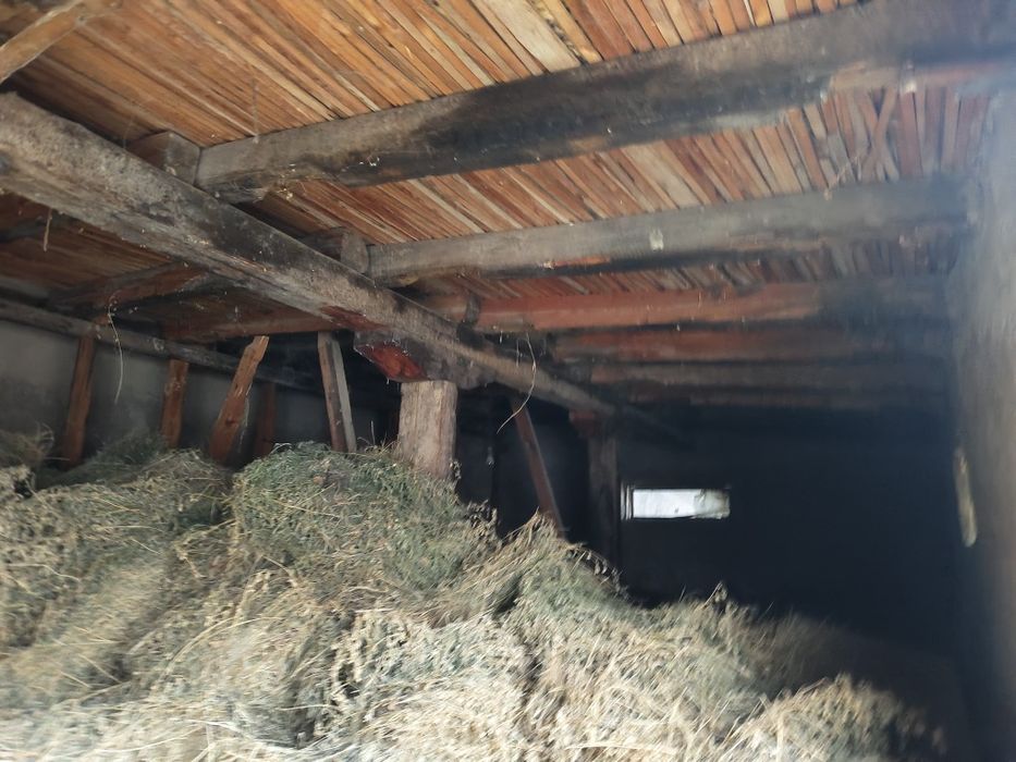 7 sotixlik xovli sotiladi