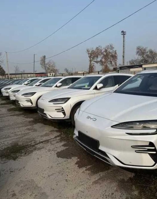 BYD Champion 2026 Smart