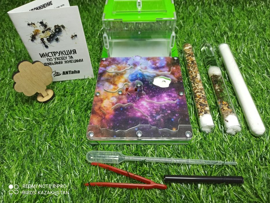 Муравьиная ферма + Муравьи Жнецы