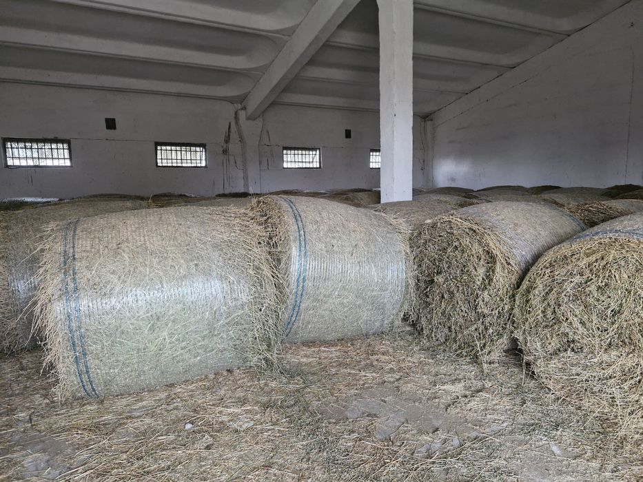 Vand baloti de lucernă