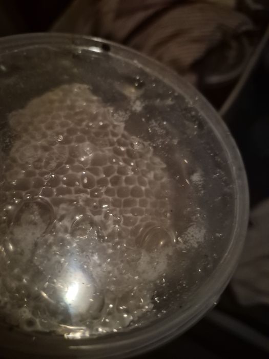 МЁД с собственной пасики