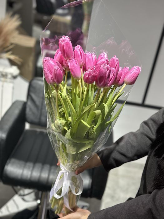 Тюльпаны голландские