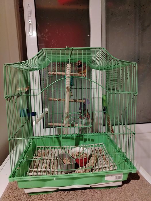 Colivii pentru păsări