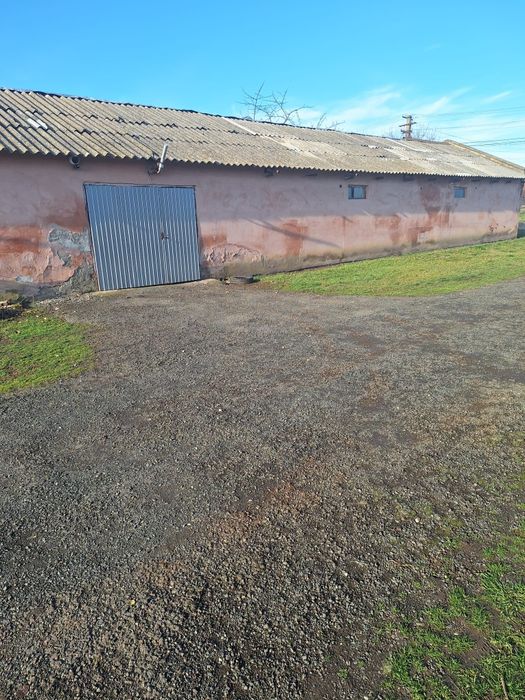 Proprietate mixtă de vânzare în Nădlac Județul Arad Casă modernă + hală/grajd + teren generos 
 Casă modernă + hală/grajd + teren generos 5.654 mp