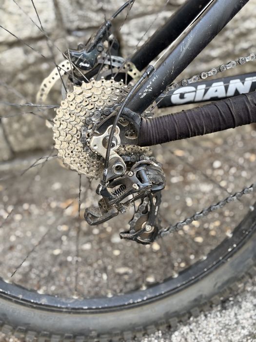 Giant reign X2..