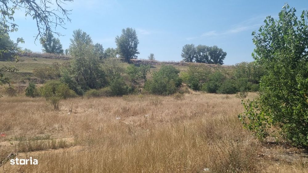 Teren intravilan cu destinație industrială de vânzare – zona Borș