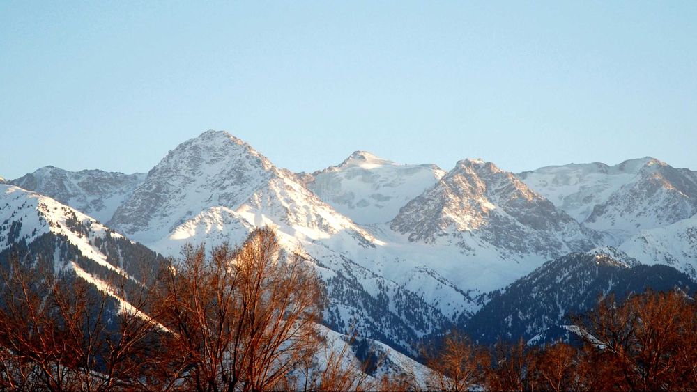 Земельный участок