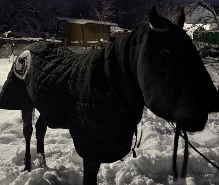 Седло  для лошади