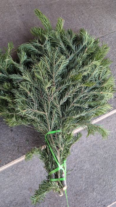 Пихтовые веники ,пихтовое масло