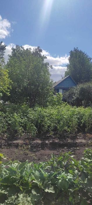 Продам дачу Красный партизан.