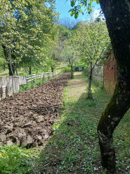Vand casa teleorman