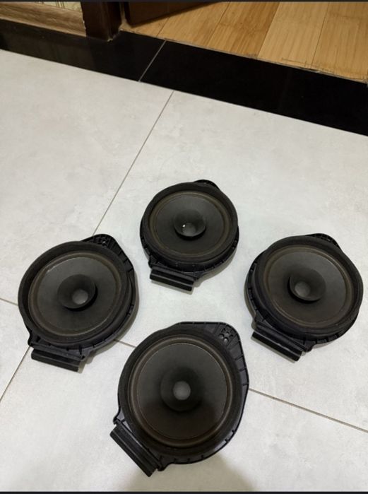 Kobalt radnoy kalonka