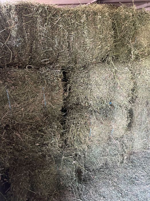 Продавам люцерна