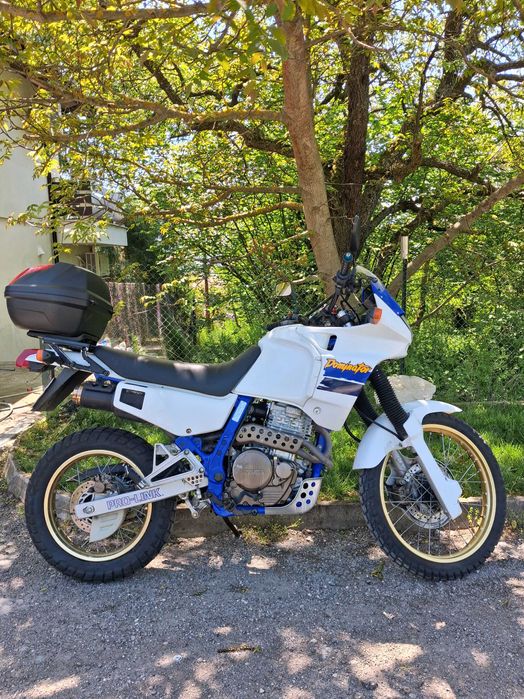 Honda dominator 650