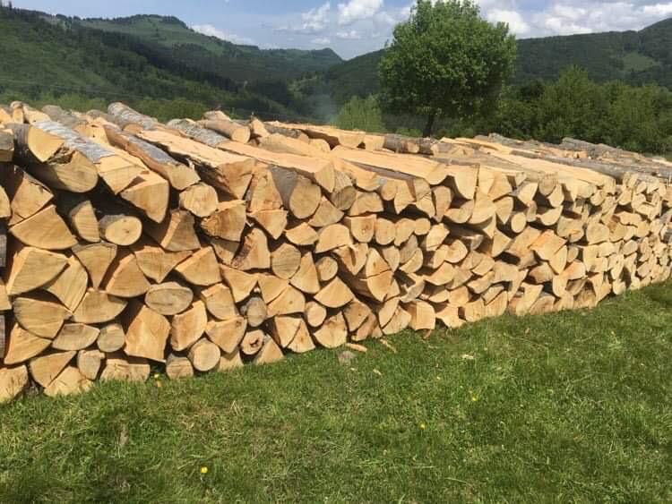 Lemn foc fag crepate