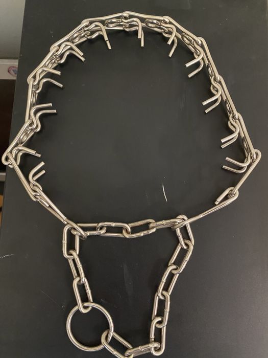 Ошейник собаки