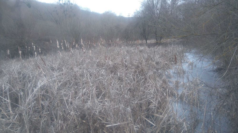 Имот,подходящ за ваканционно селище,имение с езеро,рибарници.