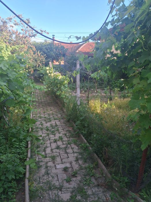 Casa de vinzare pe teren 614m,Dudasu Cerneti