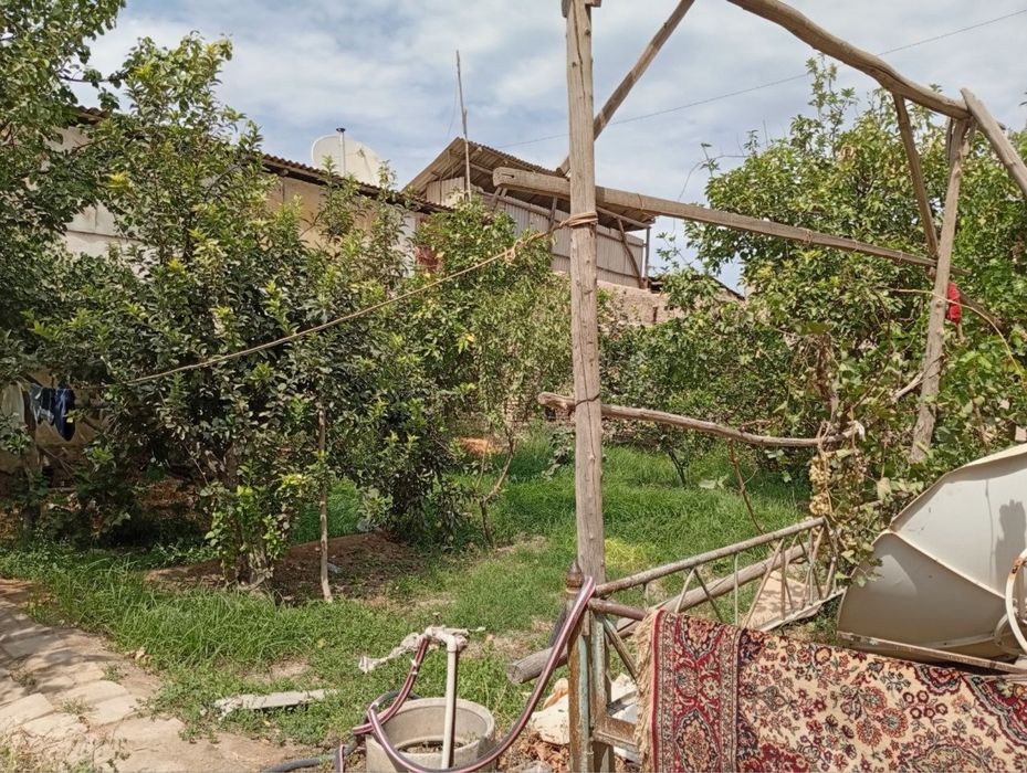 Arenda Xiva Uchastka