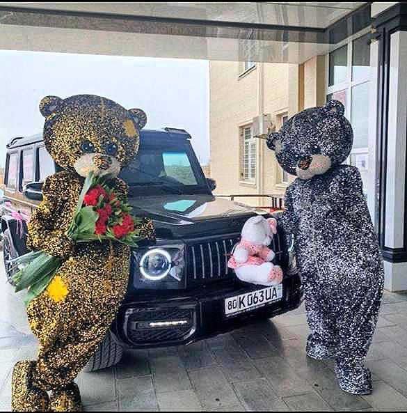 Buxoro Ayiqlari eng katta tanlov bizda