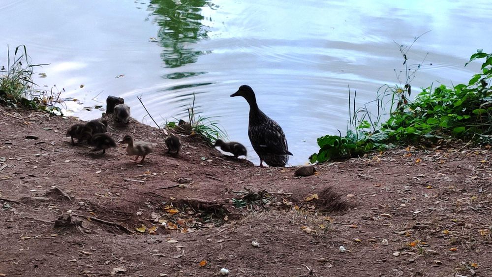Стаи за гости в Старозагорски бани
