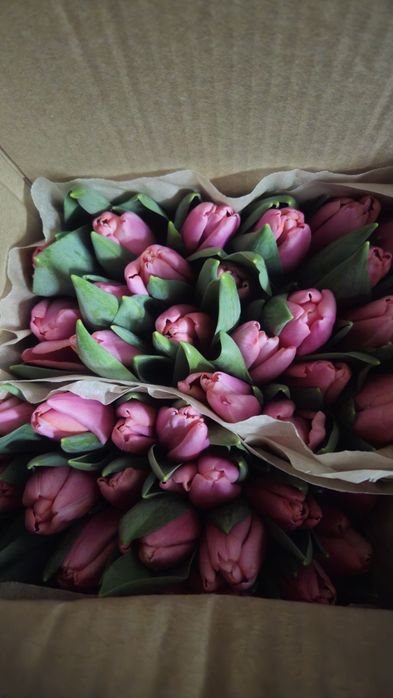 В Наличии шикарные тюльпаны