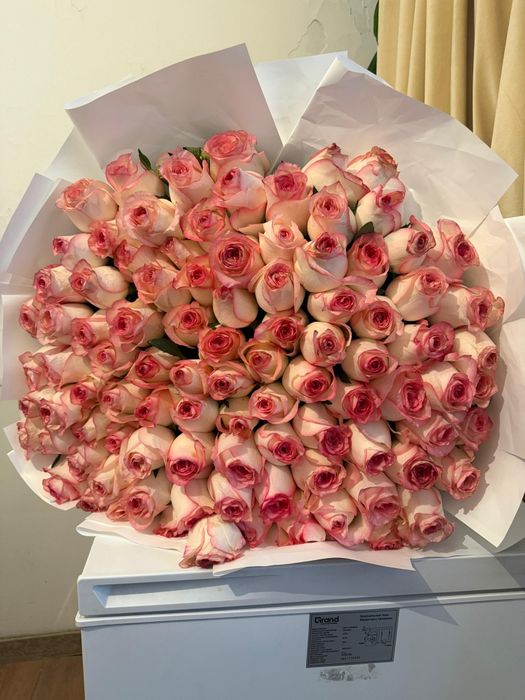 101 шт розы цветы свежие