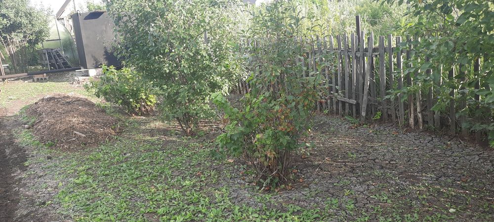 Продам дачный участок 6 соток