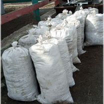 Чиринман Куй гунги сотилади