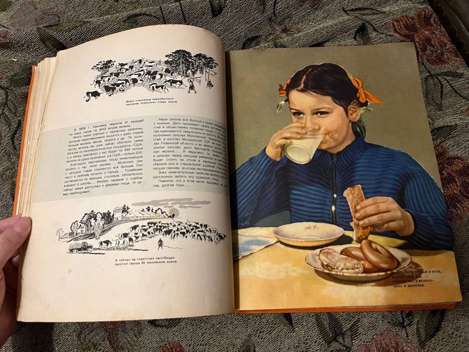 Питание школьника, книга 1959 год