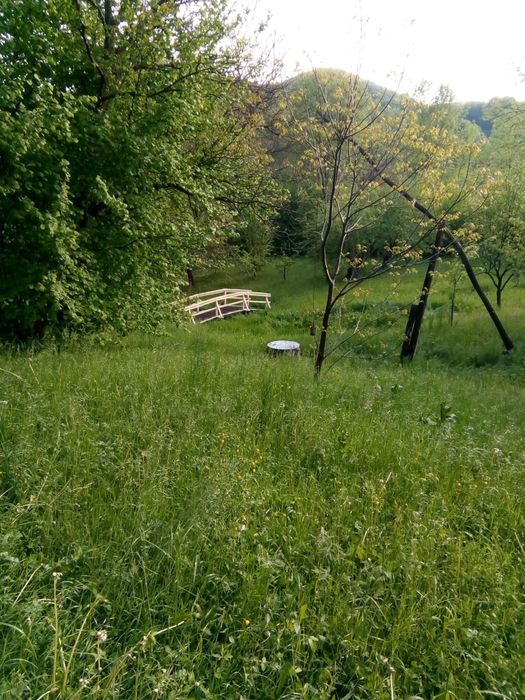 Casa P+1+ mansarda 370 mp cu teren 6100mp