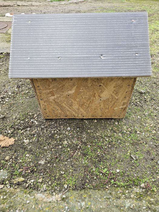 Cusca, casuta, coliba capitonata pentru caini, pisica