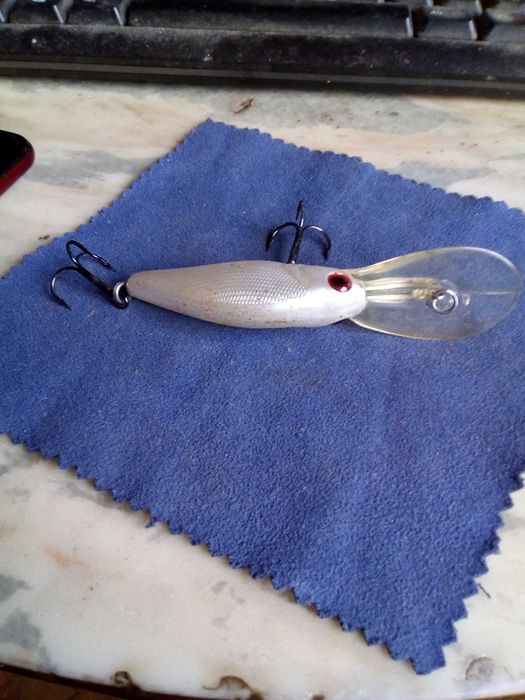 Примамка за хищни риби