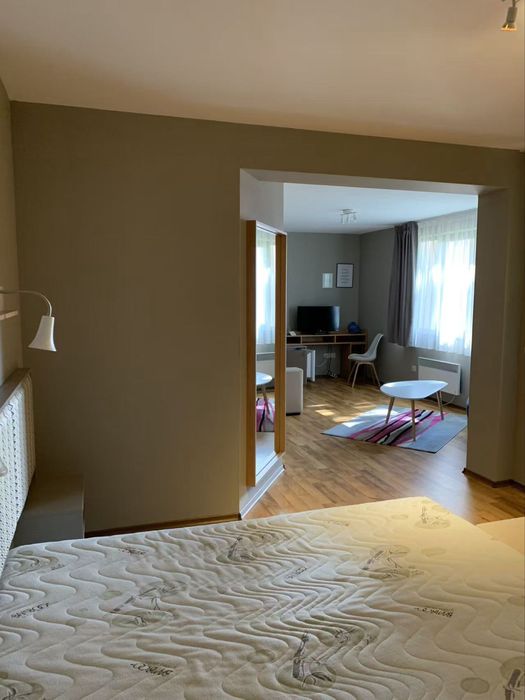 Продава се Едностаен апартамент в к.к. Пампорово - 58 кв.м за 396 €/кв.м - Снимка #7