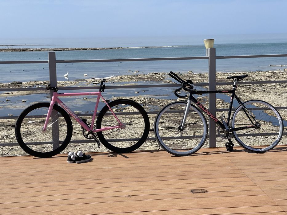 Фикс Ardently Arena Lite