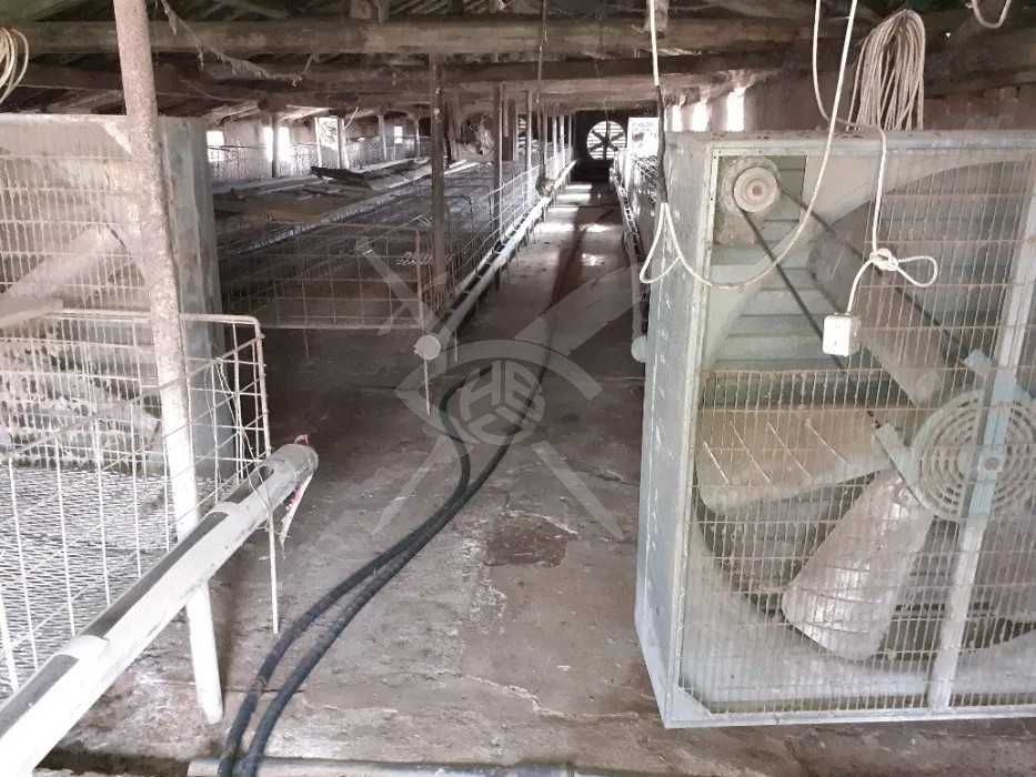 Селскостопанки имот в Караджалово 35863