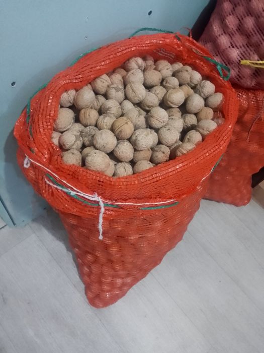 Орехи грецкие орехи