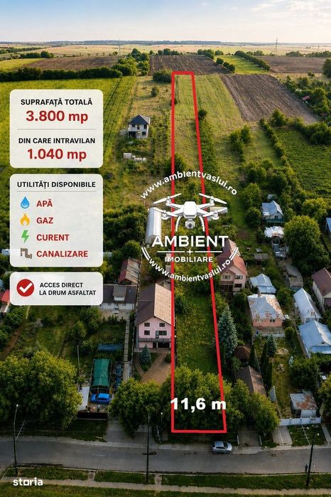 Teren 3.800 mp zona CASTANILOR, ideal pentru locuință, investiție sau