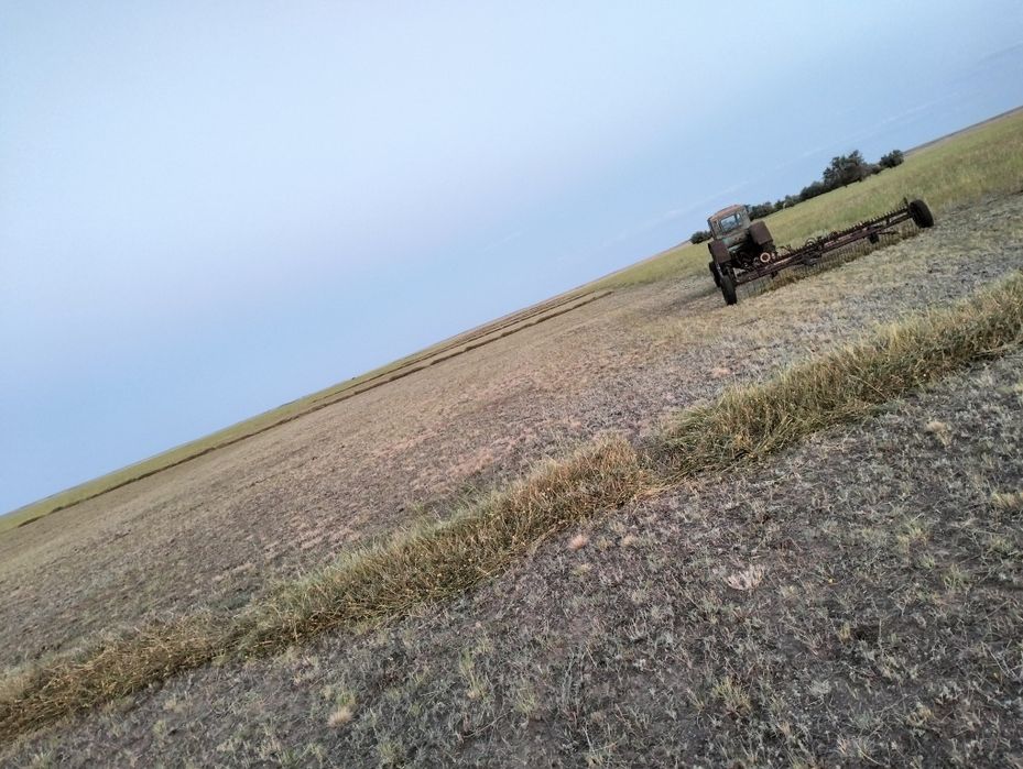 Трактор т40 сатылады