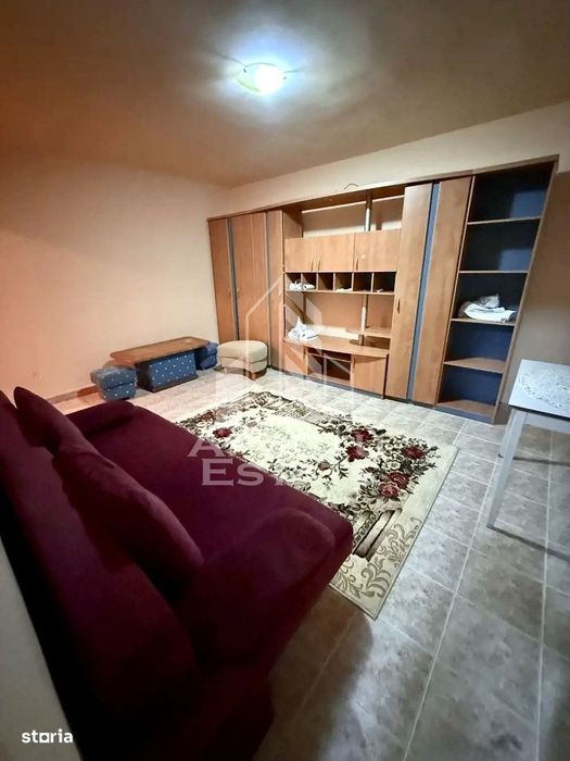 Apartament cu 1 camera de vanzare, zona Brancoveanu, Timisoara — fotografia 1