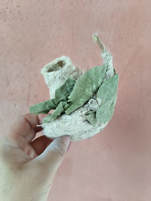 Гнездо ремеза,Куркылтайдын уясы