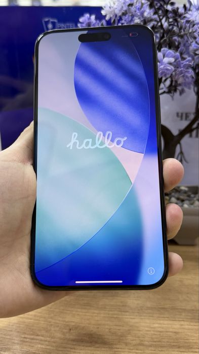 Ip 15 pm 256 gb 87% Pintel.kz