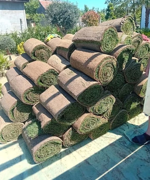 Gazon Rulou și  sistem de irigatii